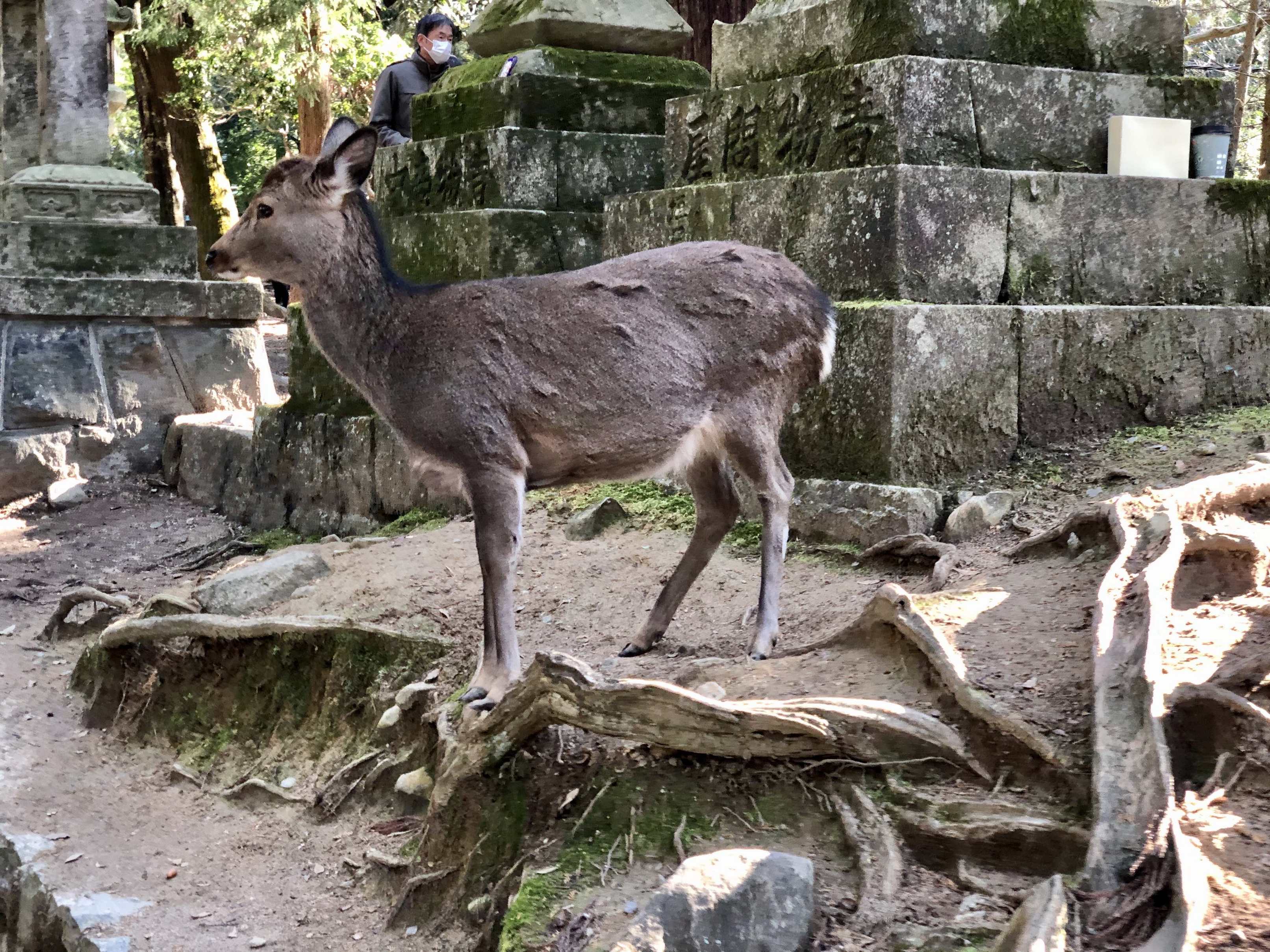 显示错误