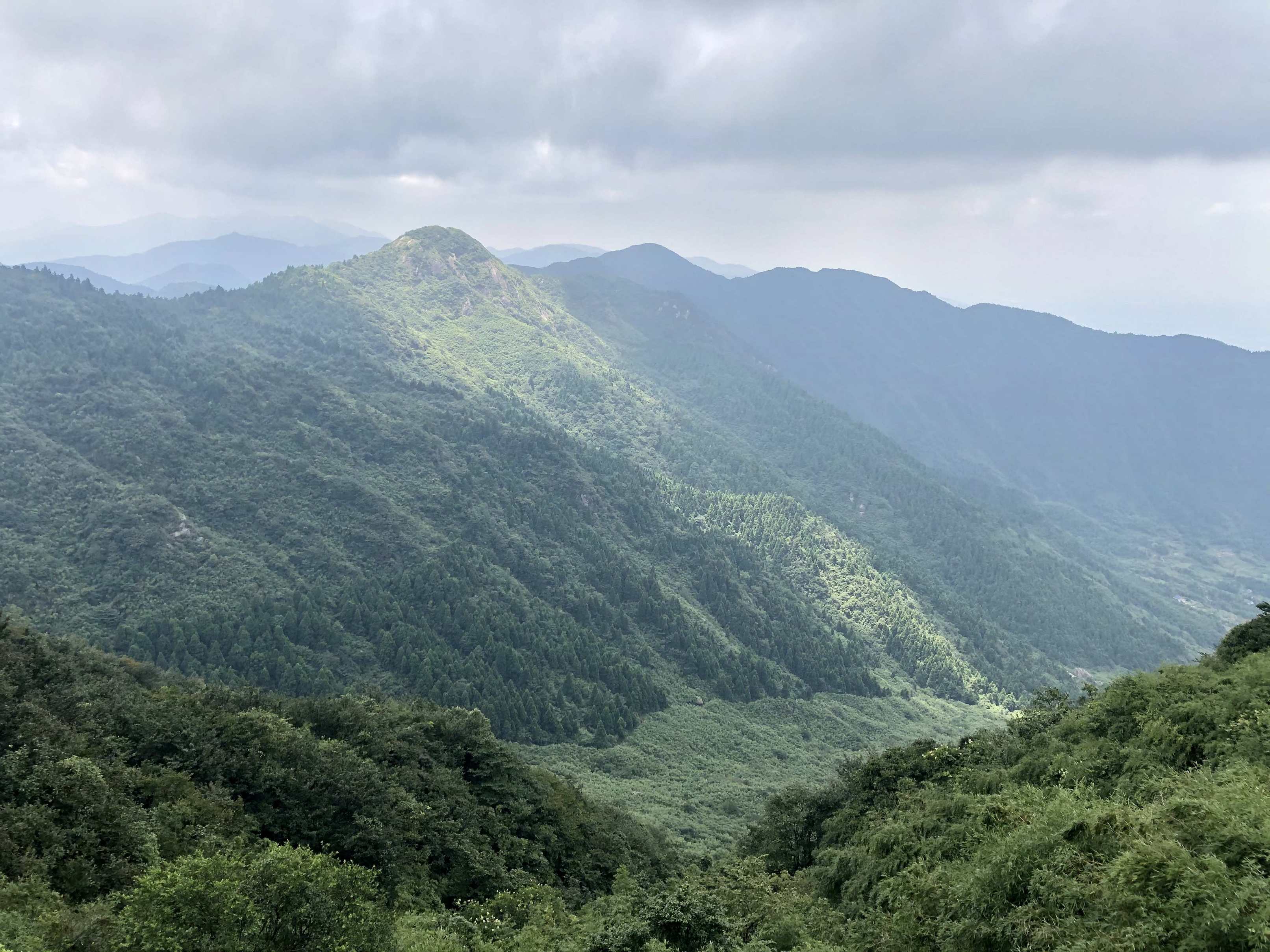 显示错误